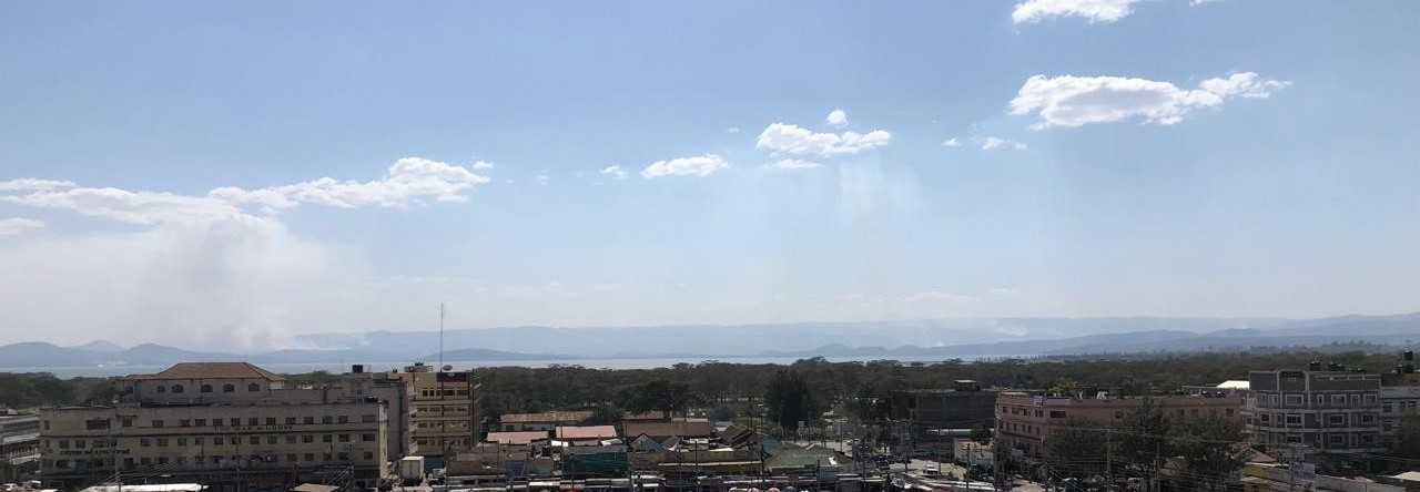 THE ORIGIN AND POWER OF MOBILITY